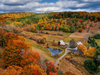 a city during the fall season.