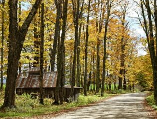 , Made INN Vermont, an Urban-Chic Boutique Bed and Breakfast